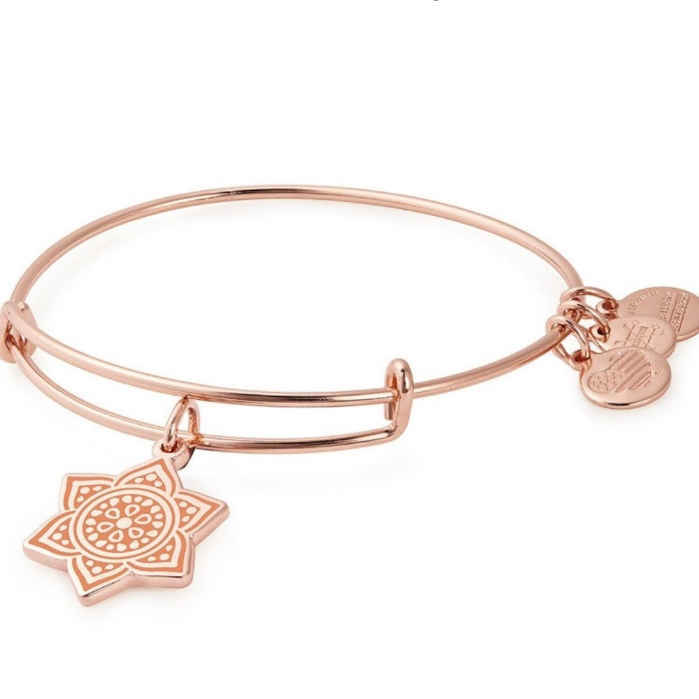 NWT Alex and Ani sacral rose gold chakra bracelet